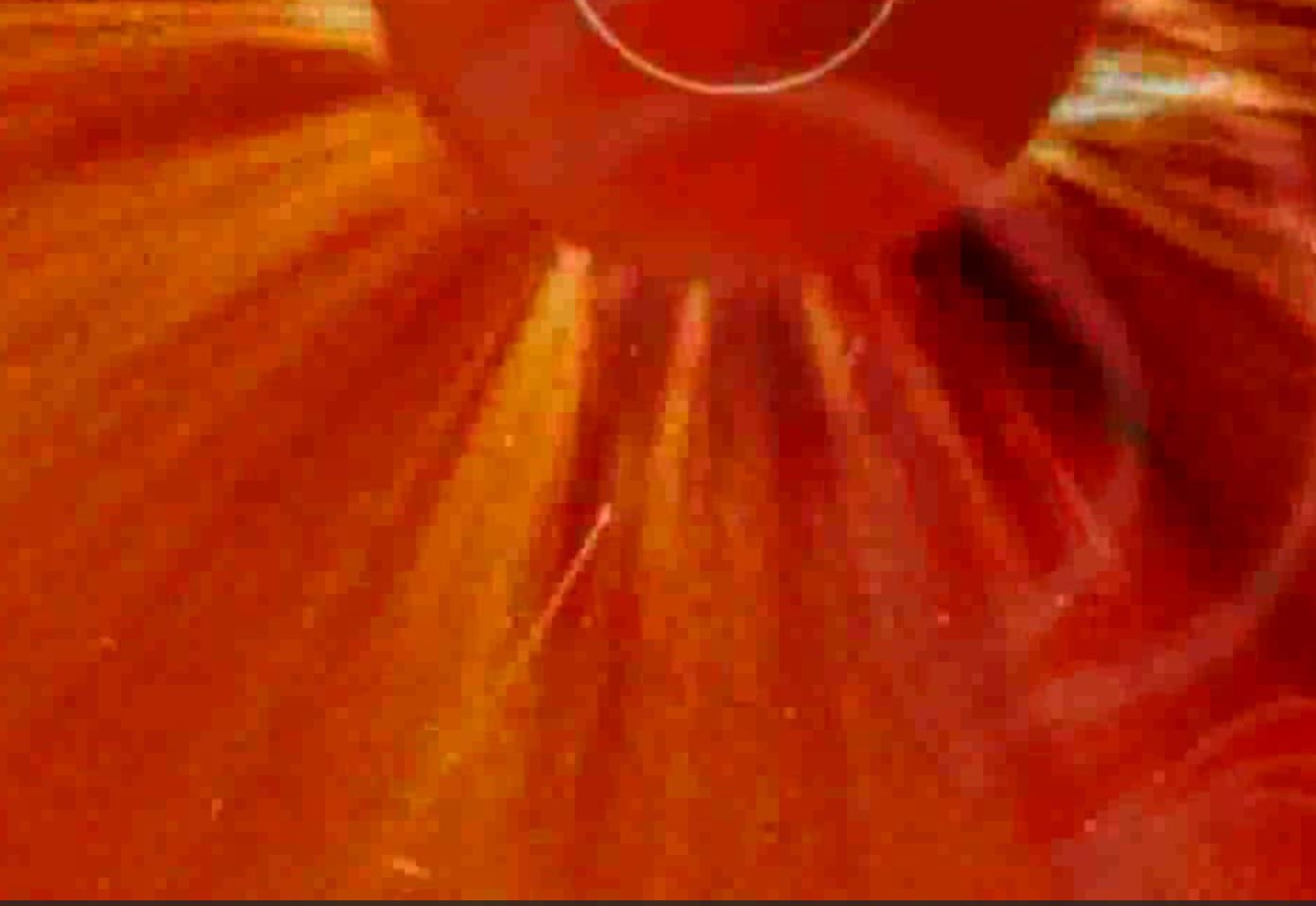 The Voice of the Sun